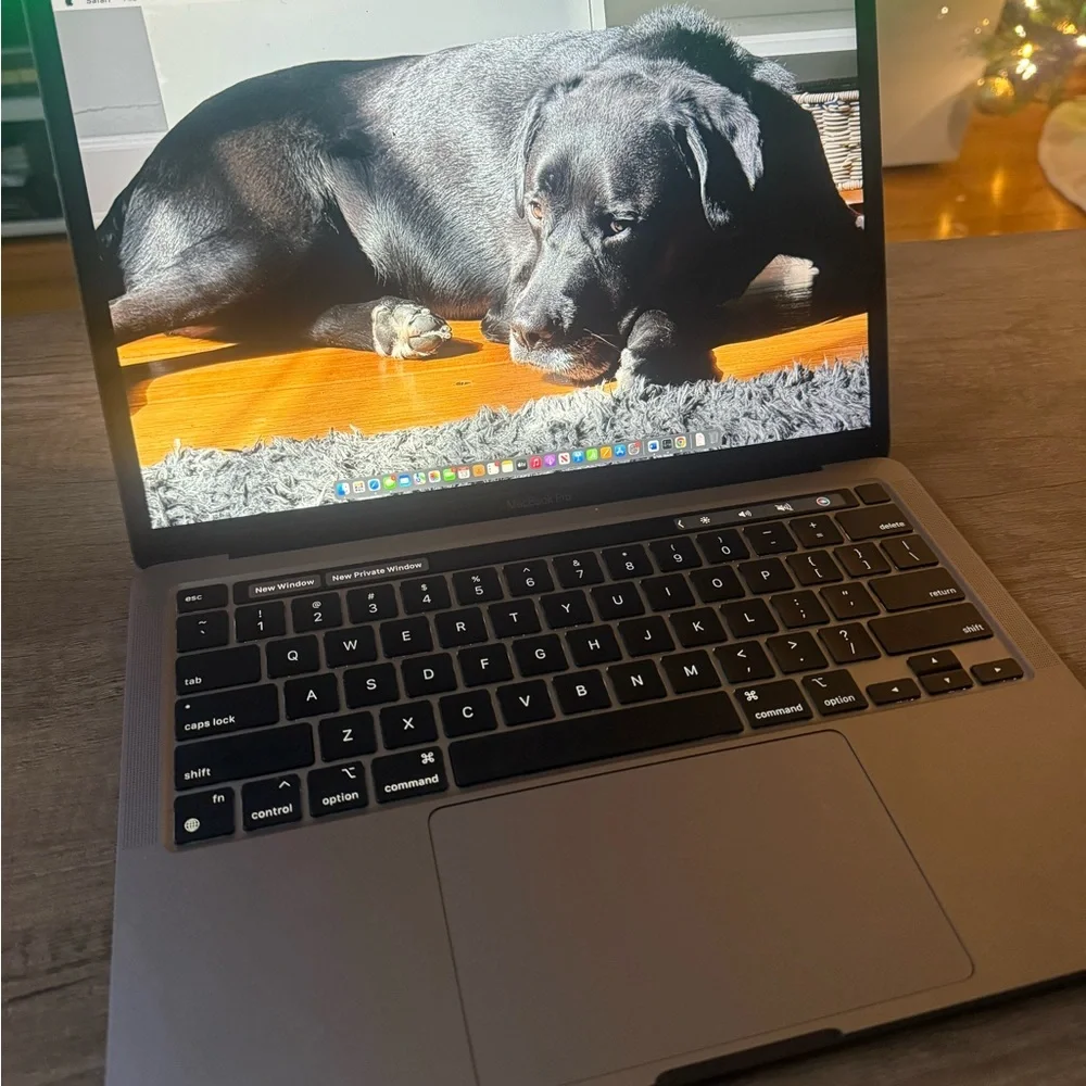 Apple Laptop - Sleek Gray Finish